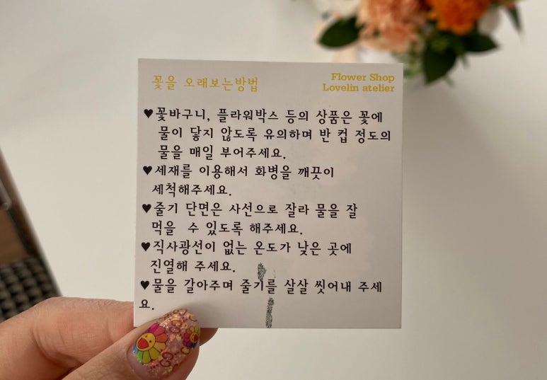 러블린아틀리에 이미지