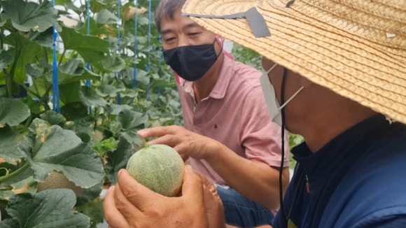 소망영농조합법인 이미지