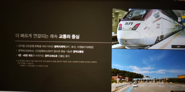 쭈 등 이미지