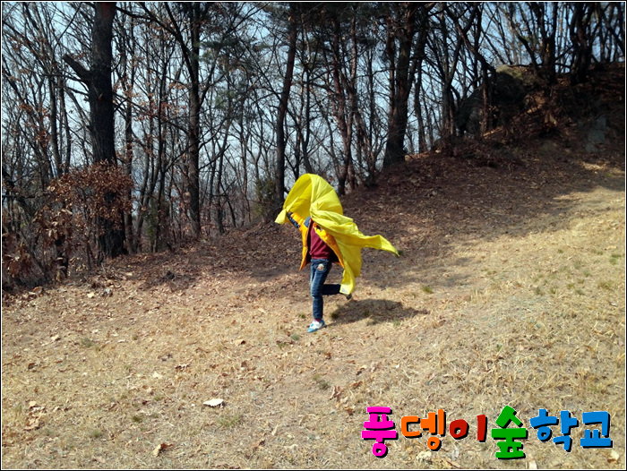 시원한바람 이미지