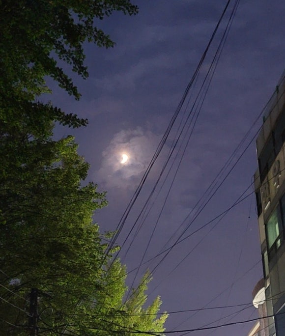 다운목살구이식당 이미지