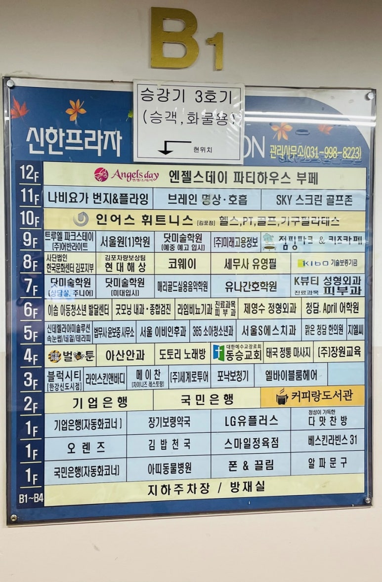 으뜸경락 이미지