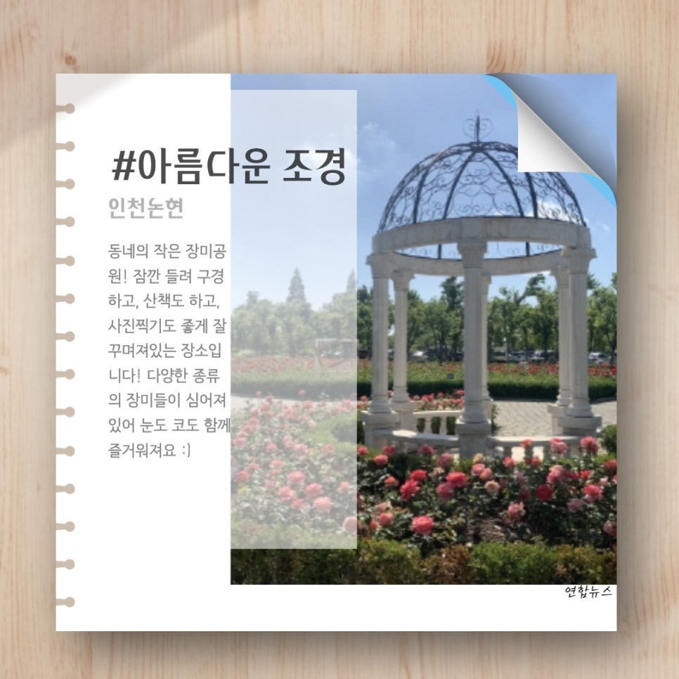 와서뭐하니 이미지