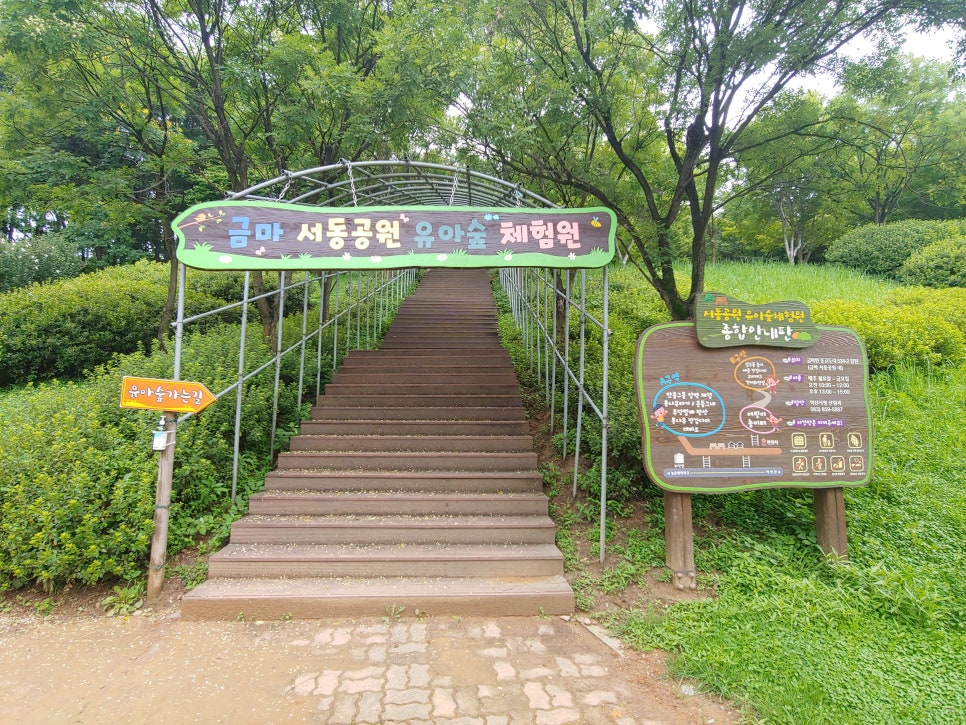 금마 서동공원 유아숲체험원 이미지