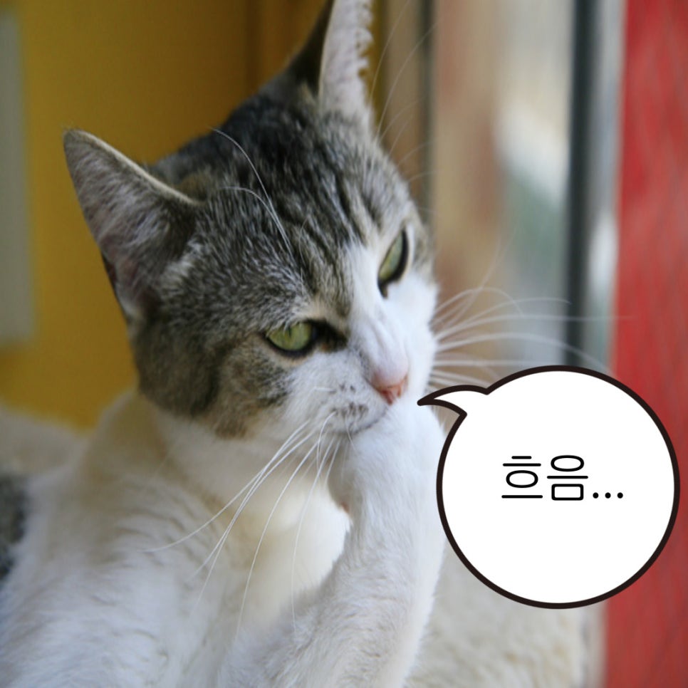 퓨쳐니스타 이미지