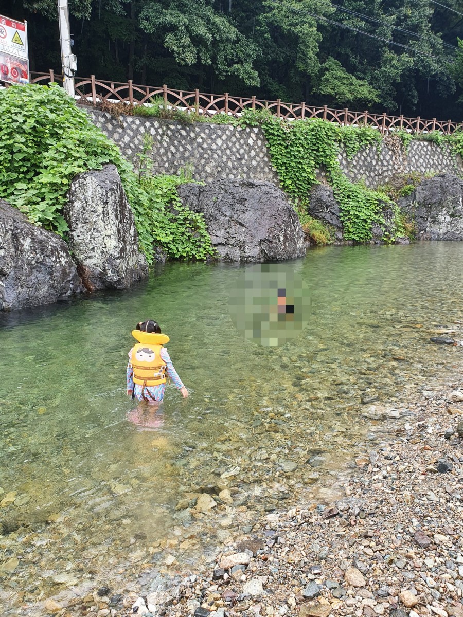 다인김밥 이미지