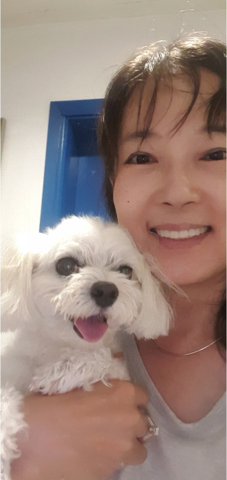 앙뚜 이미지