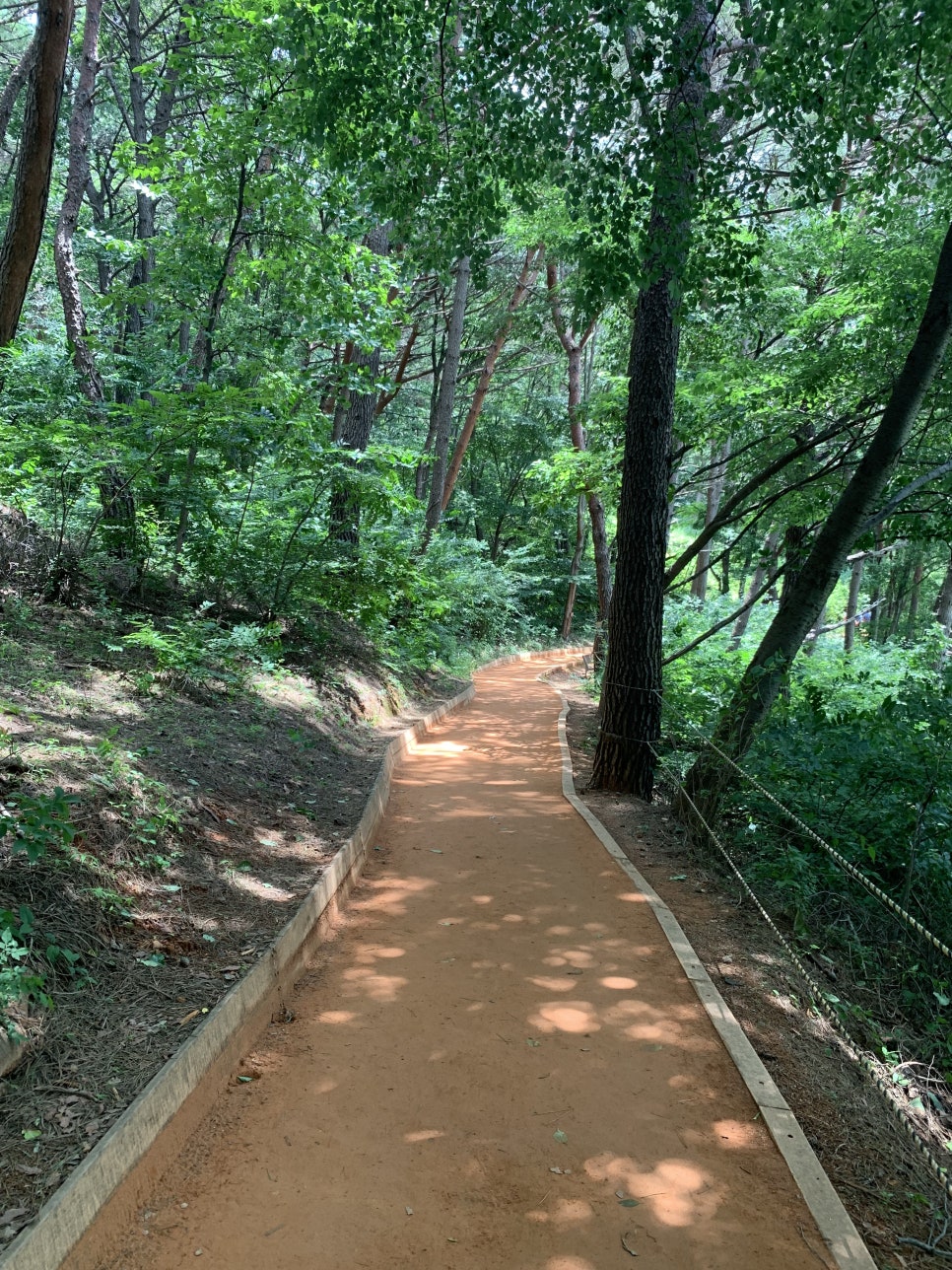 유엔문화원 이미지