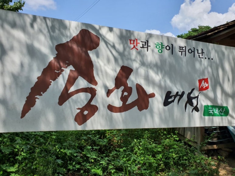 괴산호 전망 이미지