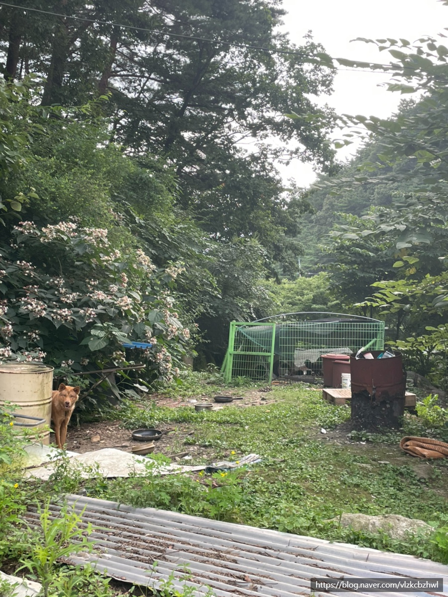 지당골식당 이미지