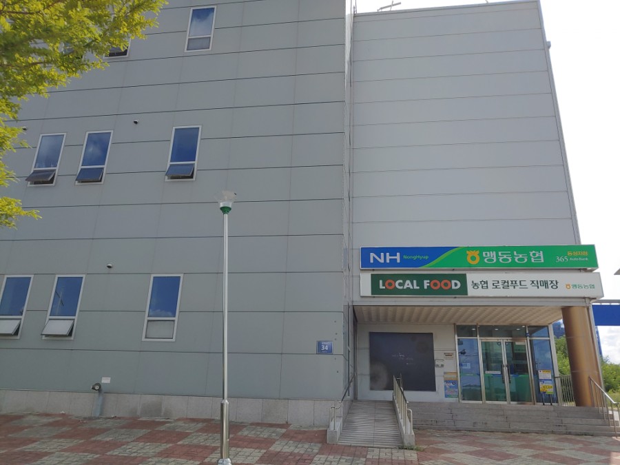 백합꽃직매장 이미지