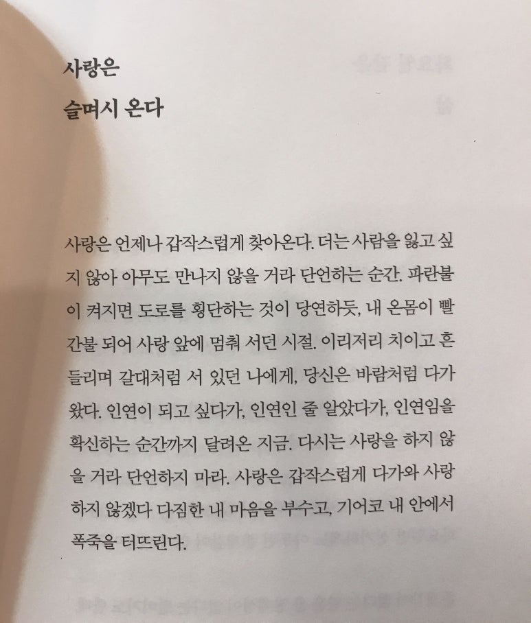 플랜E 이미지
