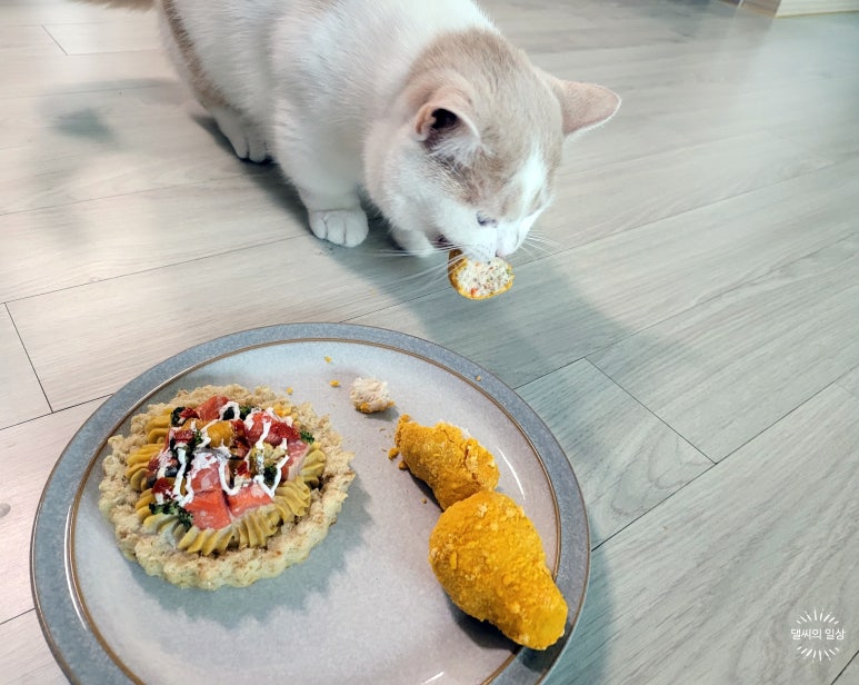 츄즈케이크 이미지