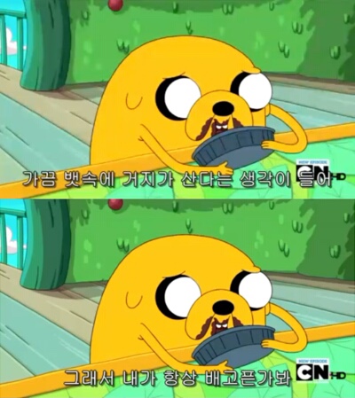 4.19그집 이미지