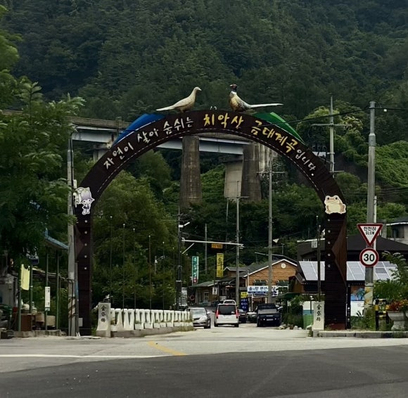 본가발 이미지