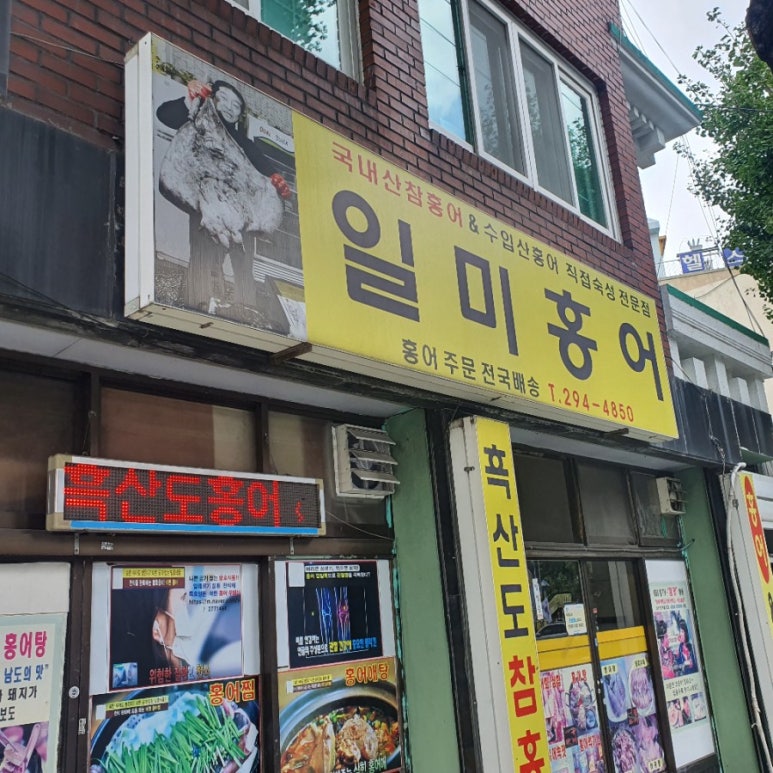 일미홍어 이미지
