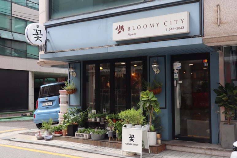 블루미시티 이미지