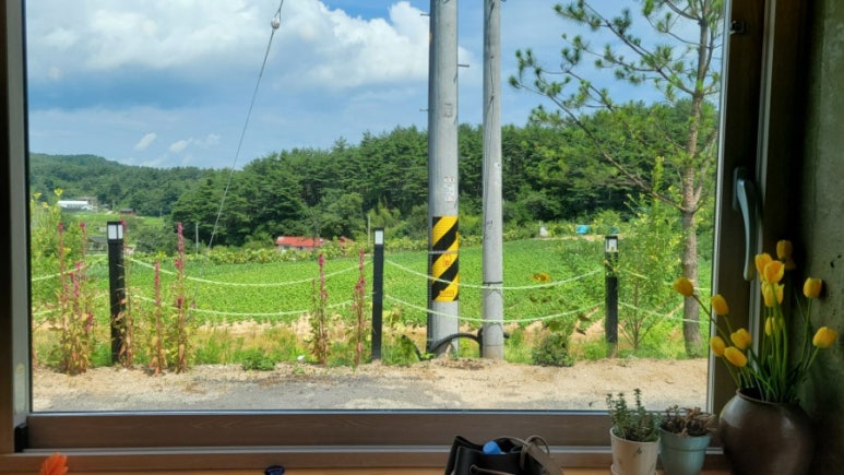 해바라기한식뷔페 이미지