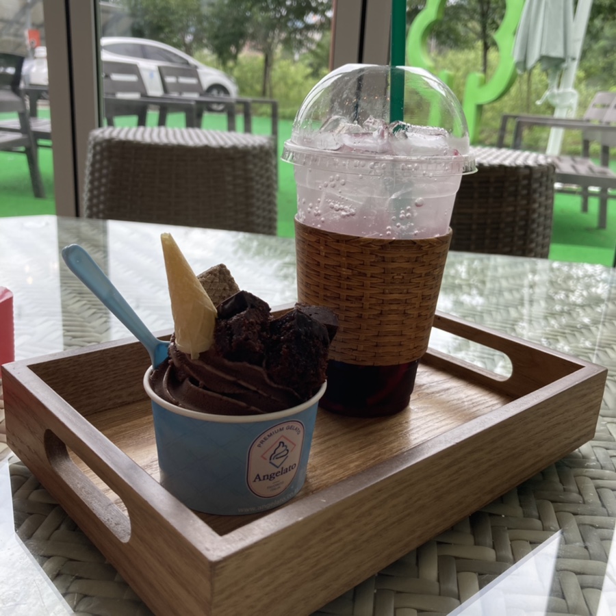 올리앤&나무 이미지