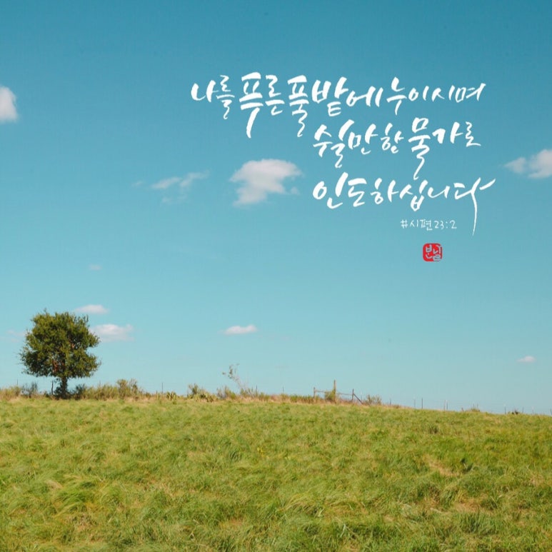 쉴만한물가 이미지