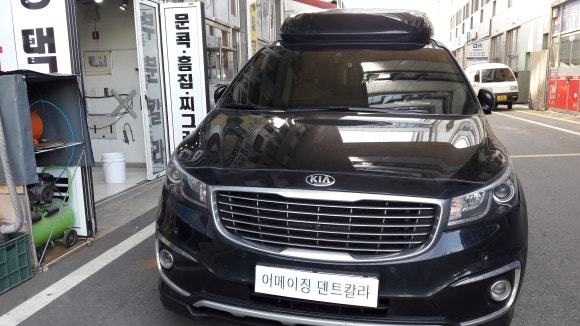 하이덴트칼라 이미지