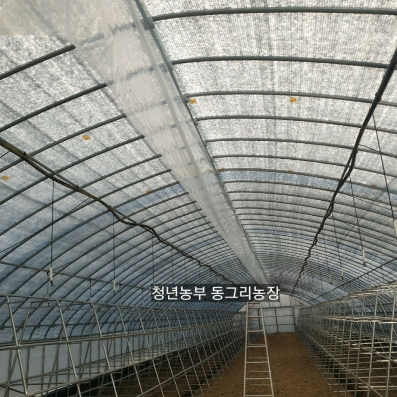 동그리농장 이미지