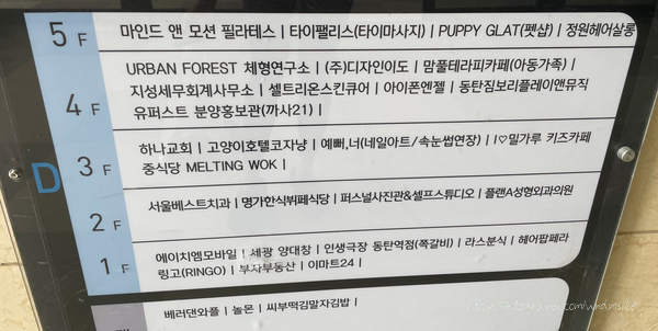 마인드앤모션 이미지