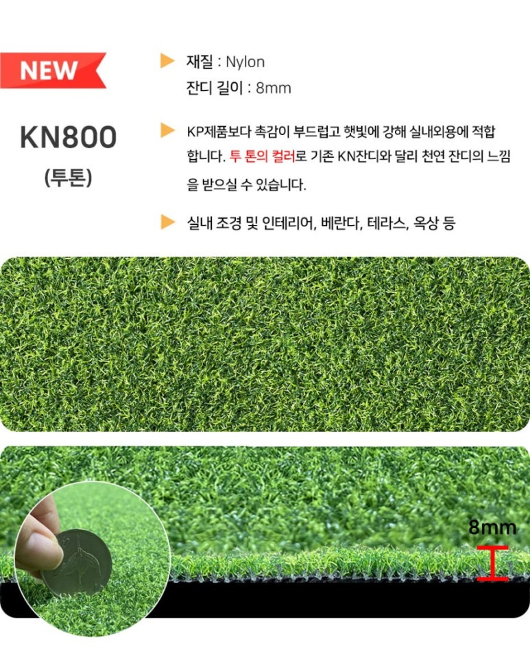 더바른몸 이미지