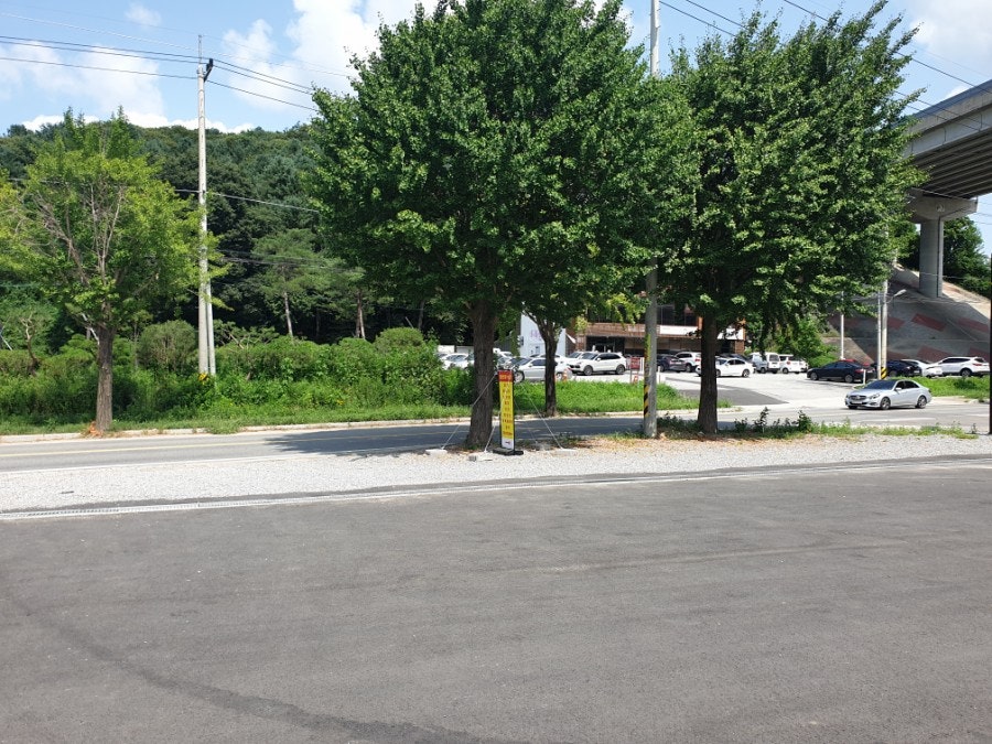 최선장수산 이미지
