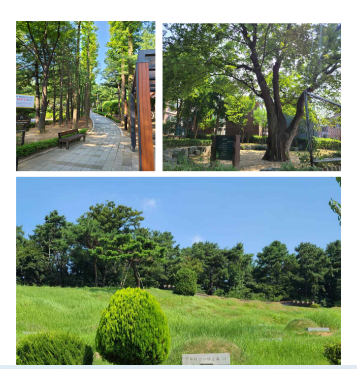 (주)꿈이있는여행 이미지