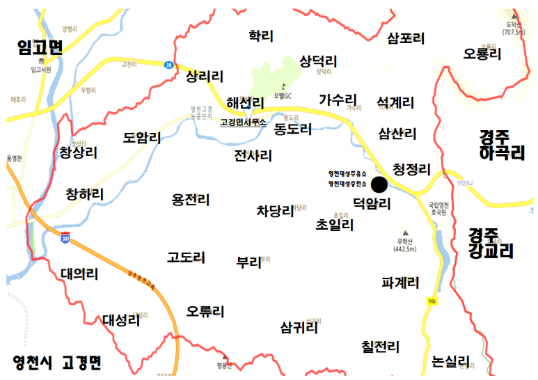대성지엘주 이미지