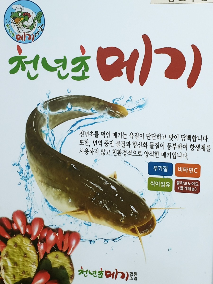 강변메기매운탕 이미지