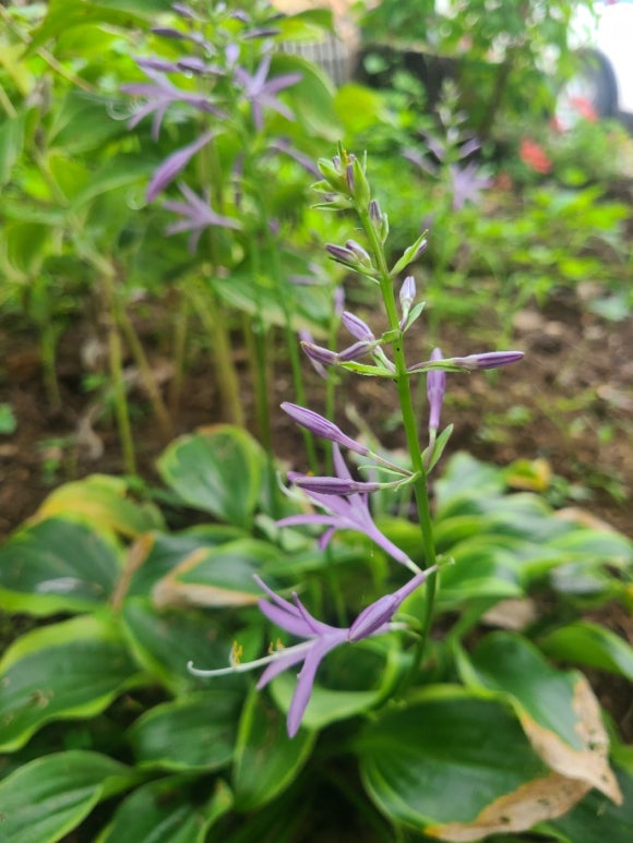 산림조합주유소 이미지