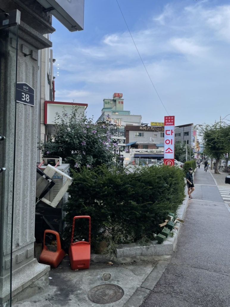 셀렌헤어 이미지