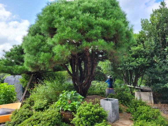 언양조경 이미지