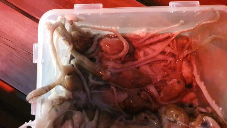 중리농어촌휴양마을 이미지
