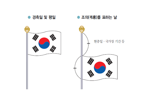 하나콩 이미지