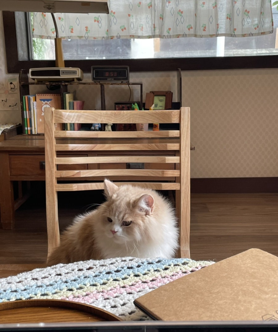 카페 안온 이미지