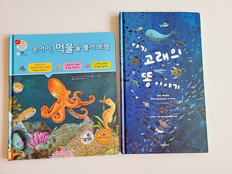 크리에이티브문어 이미지