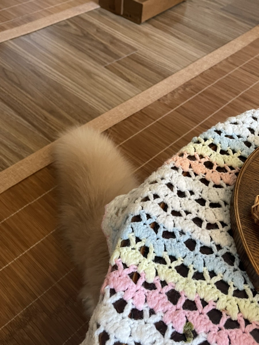 카페 안온 이미지