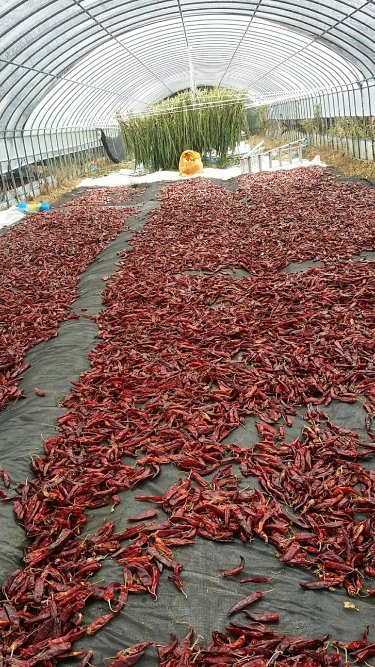 고추깨방 이미지