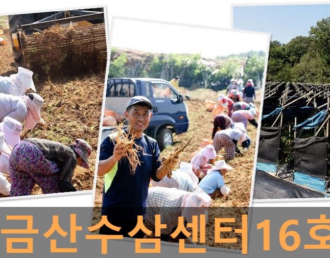 삼인유통 이미지
