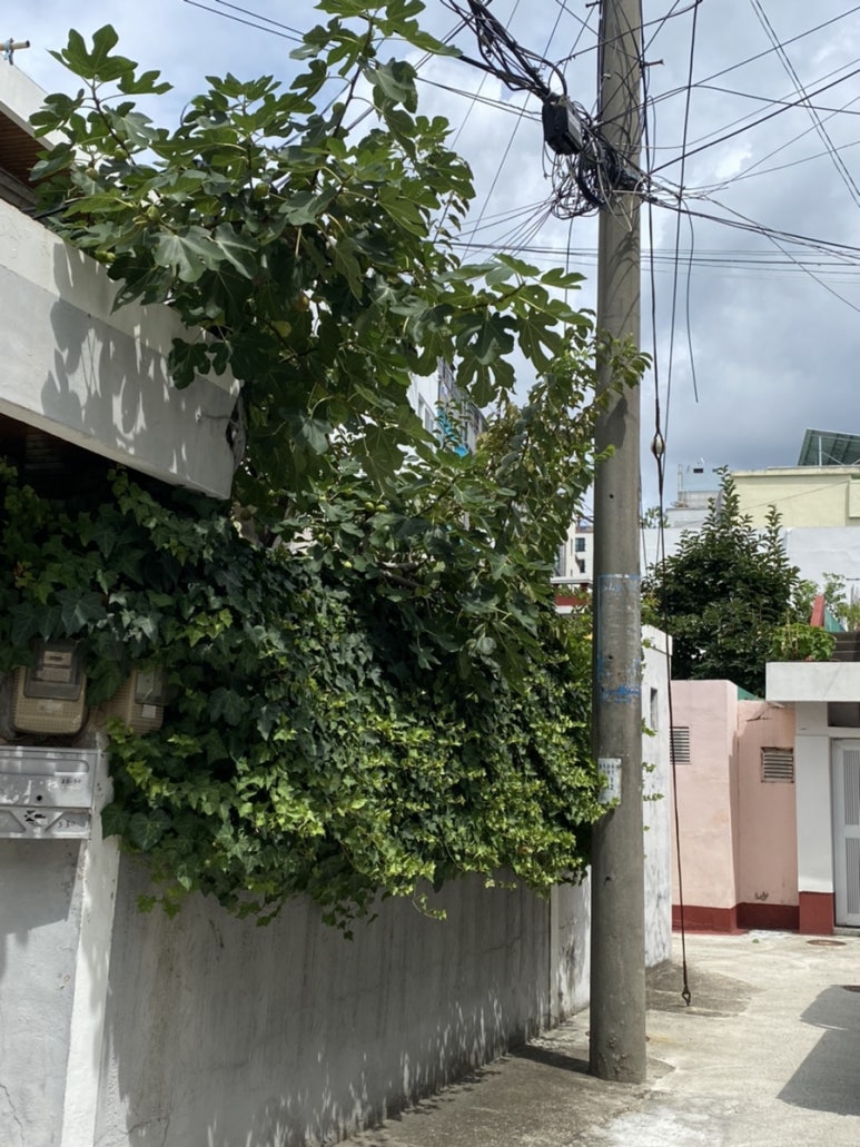 윤그림글씨 이미지