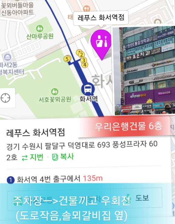 레푸스 이미지