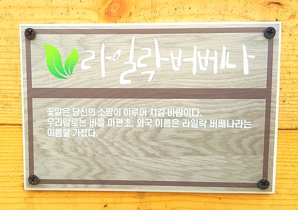 썸머가든 이미지