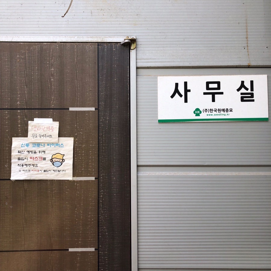 한국원예종묘 이미지