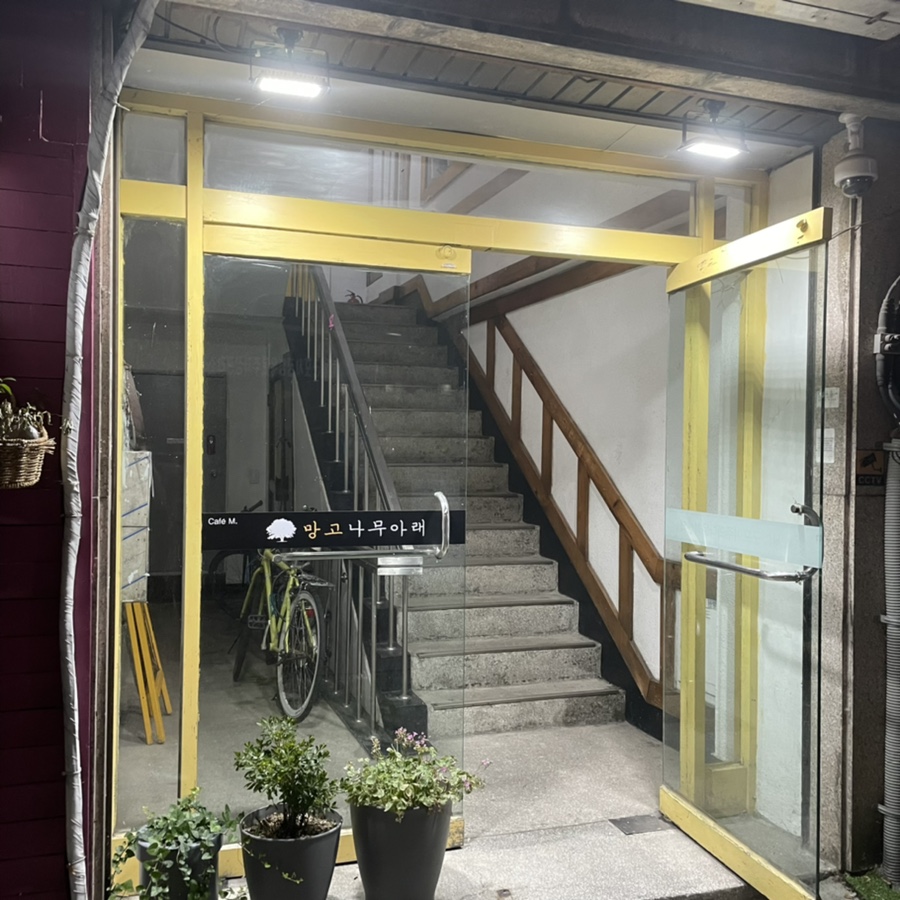 망고나무아래 이미지
