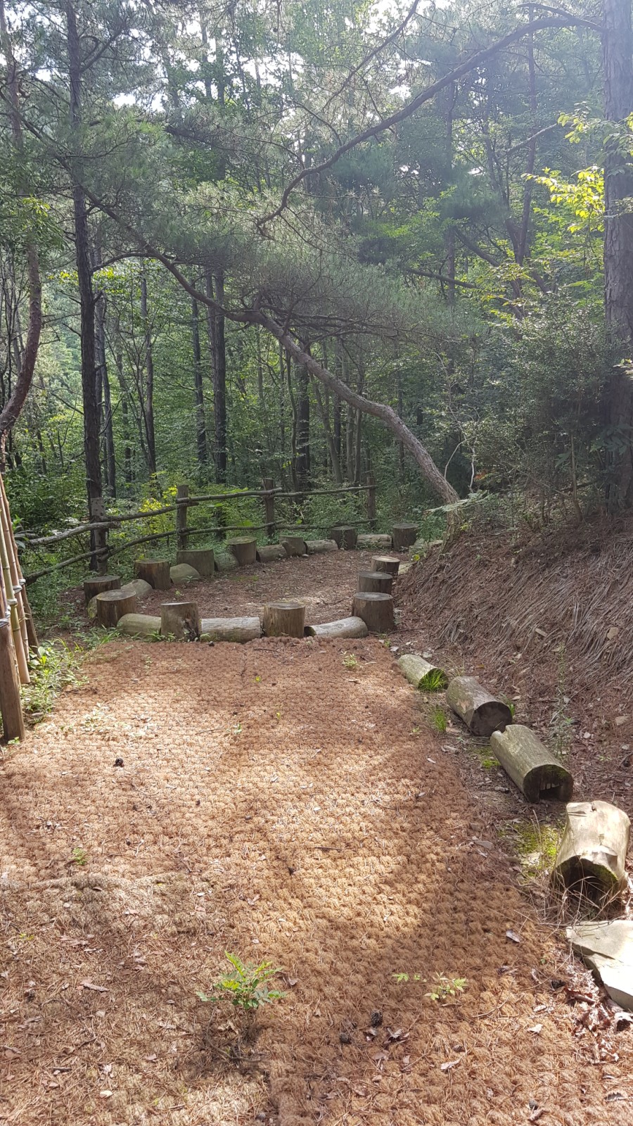 야호학산유아숲체험원 이미지