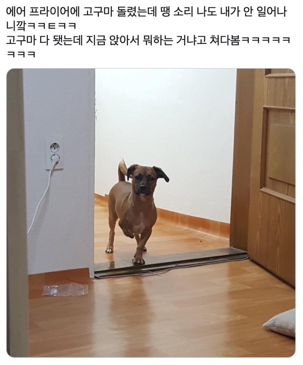 네일리스트 이미지