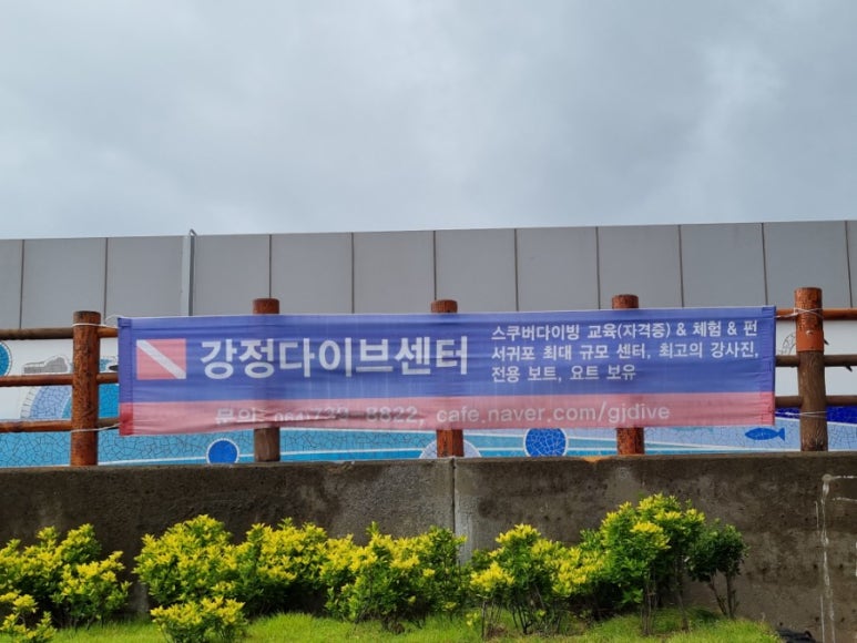 강정다이브센터 이미지